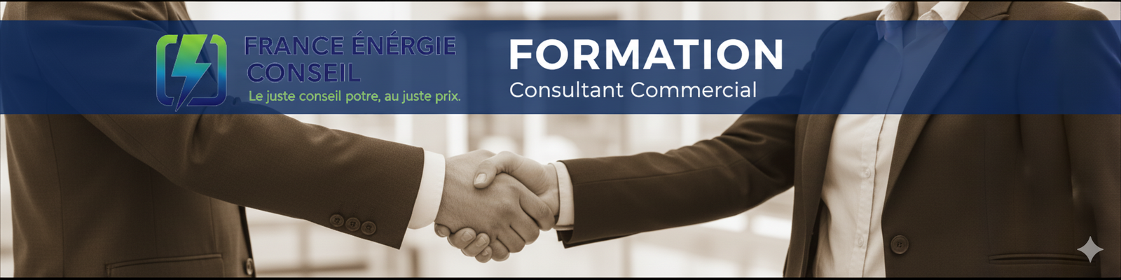 Formation e-Learning Consultant Commercial France Énergie Conseil